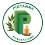 Pintanna Plantations Pvt Ltd