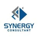 SYNERGY CONSULTANT