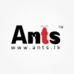 Ants Creation (Pvt) Ltd