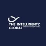 The Intelligentz Global Pvt Ltd